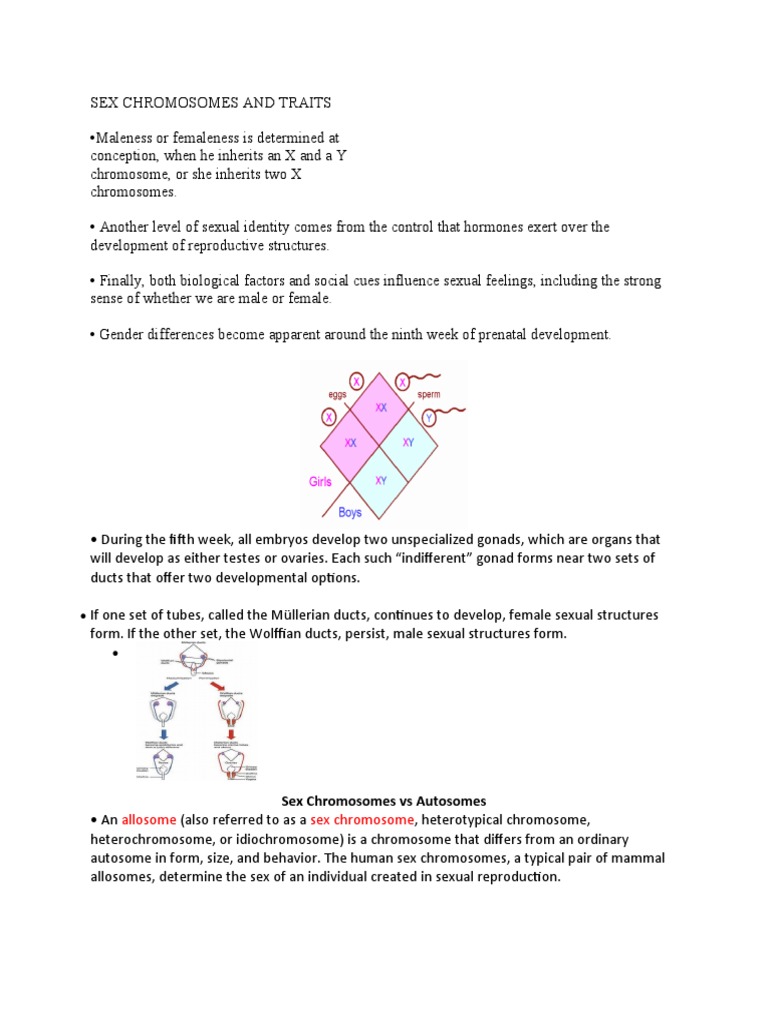 Sex Chromosomes and Traits.1 | PDF | Zygosity | Sex