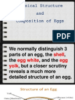 L1.2 Physical Structure and Composition of Egg