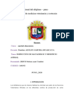 Ensayo Inspección de Mataderos y Beneficio Animal