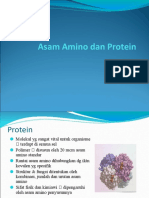 Asam amino dan protein