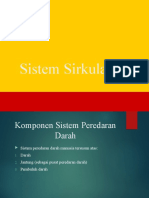 Sistem Sirkulasi