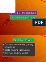 Skeleton Trunci