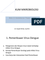 PRAKTIKUM MIKROBIOLOGI Blok Tropmed - Dengue