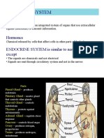Endocrine System: Function