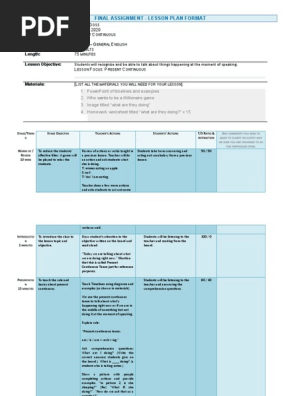 TEFL lesson plan for adults 
