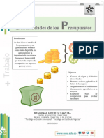 Material de Apoyo. Generalidades de Los Presupuestos PDF