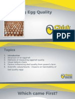 Evaluating Egg Quality PDF