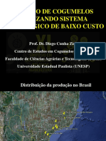 XI Biotec DCZIED PDF