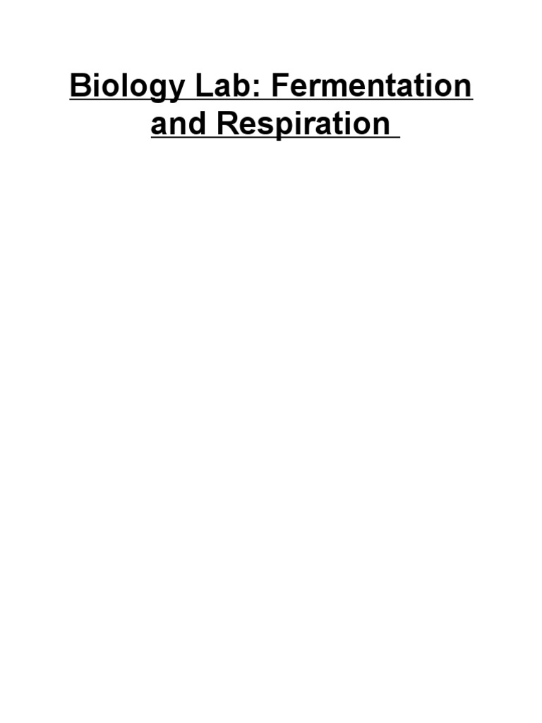 Biology Lab - Fermentation and Respiration | PDF | Cellular Respiration ...