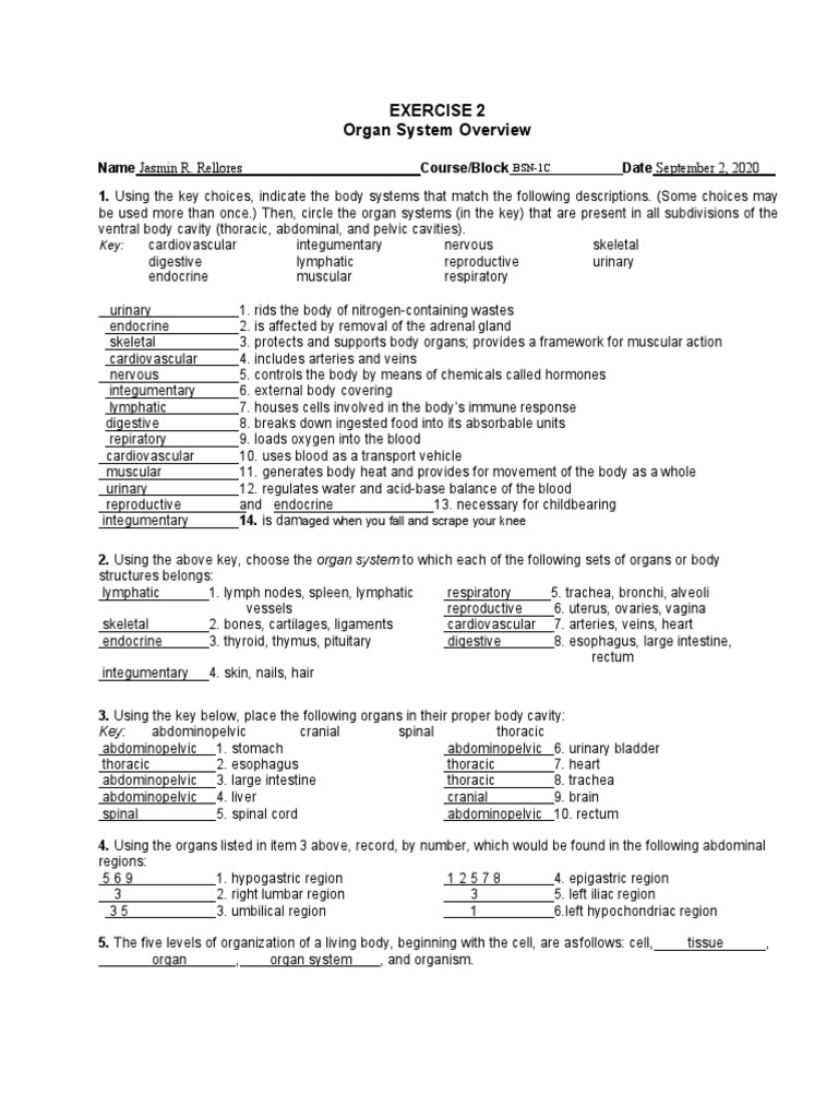 Exercise 2 Organ System Overview: BSN-1C Biology Diagrams
