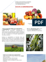 Importancia de La Agroindustria