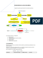 Resumen de Reactores I