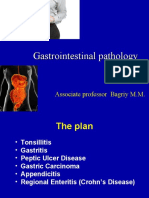+ SP - 04 - Gastrointestinal Pathology