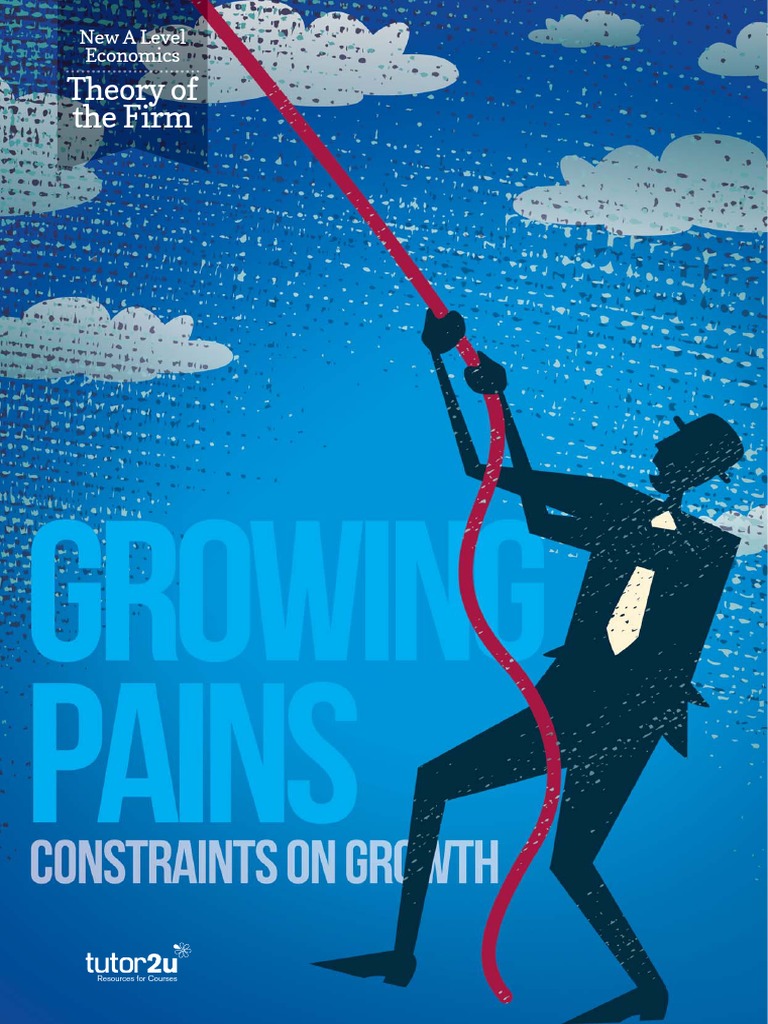 Growing Pains PDF Hewlett Packard Franchising