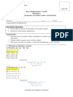 Documento Pauta Guía complemetaria  .pdf