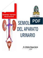 Semiologia Urologica PDF