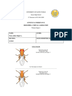 Genetics & Inheritance Drosophila Virtual Laboratory