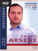 Sergiu ARSENE - Profil de CANDIDAT 