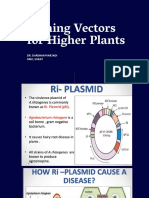 Cloning Vectors For Higher Plants