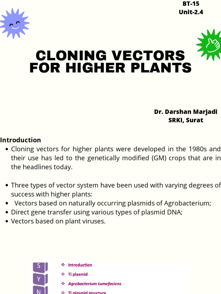 Cloning Vectors for Plant Gene Transfer | PDF | Plasmid | Molecular Cloning