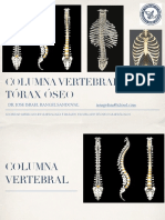 Anatomia Osea de La Columna Vertebral y PDF