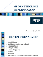 Sistem Respirasi Materi Pengantar Kesehatan Kerja SMT 1 Anfis PDF
