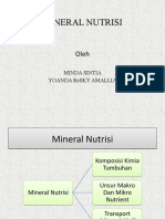 Mineral Nutrisi