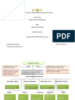 Mapa Conceptual