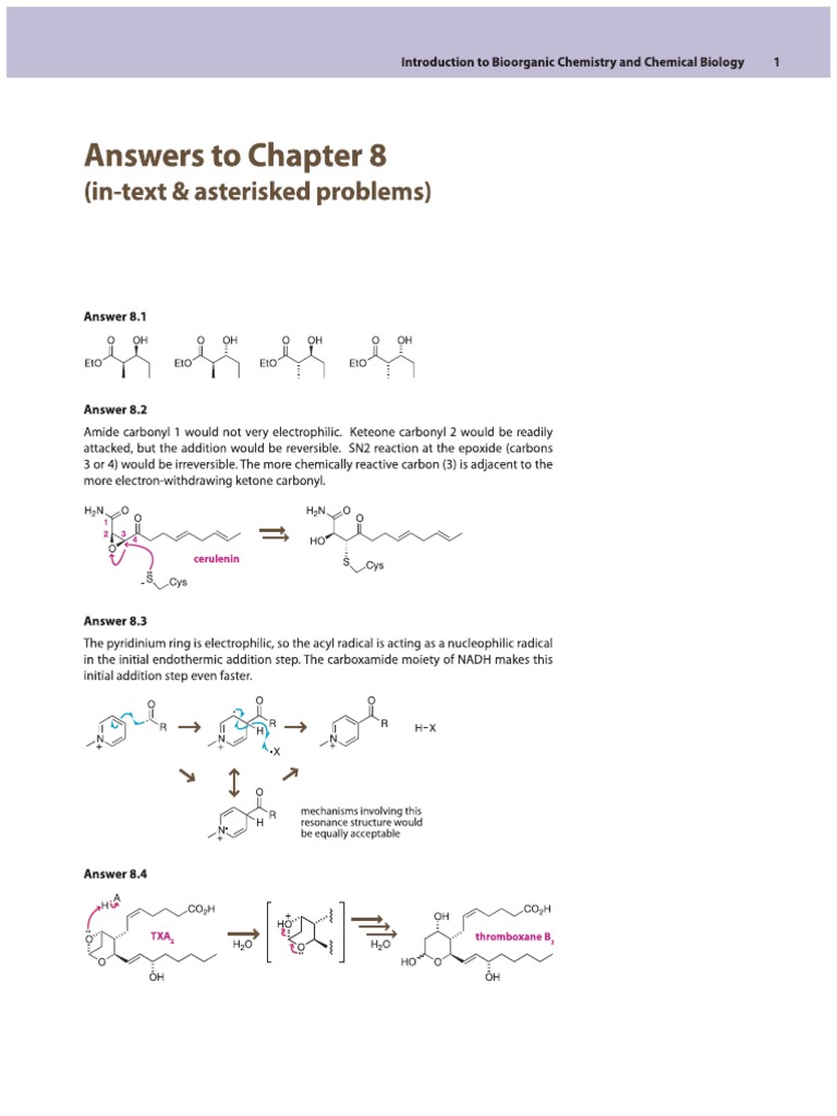 Answers To Chapter 8 | PDF