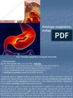 03__Patologia_amigdalelor__esofagului__stomacului_-18614