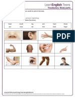 body parts - exercises.pdf