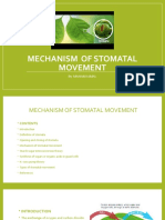 Mechanism of Stomatal Movement Explained