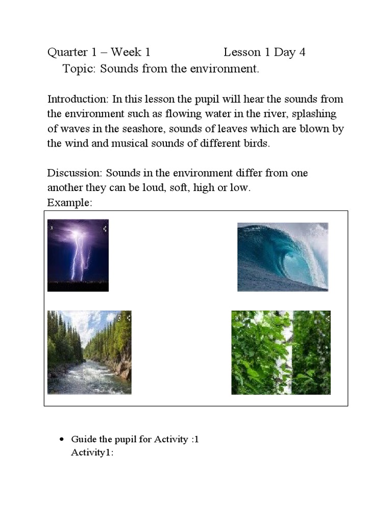 Identifying Environmental Sounds Activities | PDF | Sound | Hearing