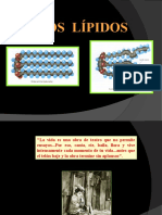 Los Lípidos