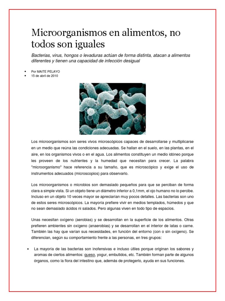 Lectura 1 Microorganismos en Alimentos | PDF | Microorganismo | Las ...