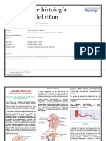 5.1 Anatomía e Histología Renal PDF