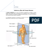 Planos Anatomicos Del Cuerpo Humano