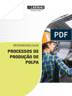 Processo de Produção de Polpa PDF