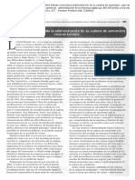 CASO LIMITED BRANDS.pdf