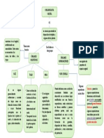 Organologia Vegetal