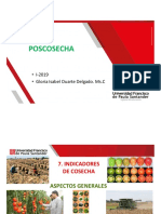 Poscosecha 5 I - 2019