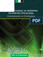 Libro Planes cuidados Especializada Extremadura.pdf