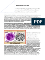 esercitazione di istologia microscopio elettronico