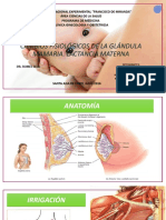 Cambios Fisiologicos de Las Mamas. Lactancia Materna