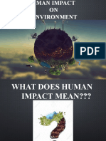 Human Impact On The Environment