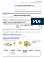 Relacion en Plantas y Animales 5 PDF