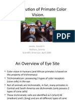 The Evolution of Primate Color Vision