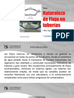 2 Naturaleza Del Flujo en Tuberías MFII USS PDF