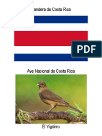bandera y ave costarica