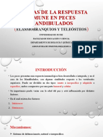 Células de La Respuesta Inmune en Peces Mandibulados